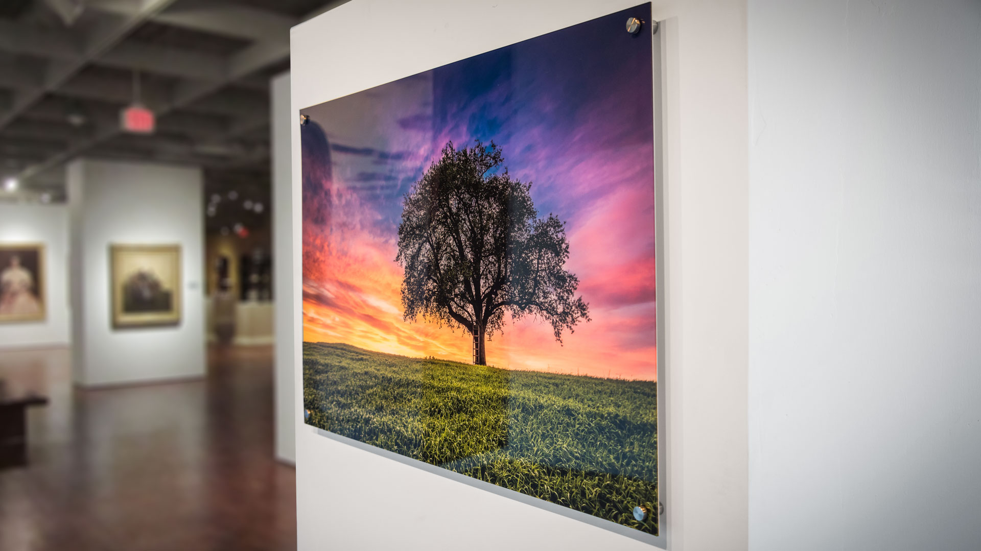 Acrylic photo prints from canvaschamp.ca