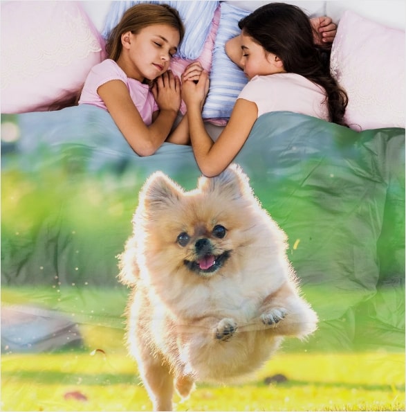 Cherish Your Furry Friends with a Pet Photo Blanket